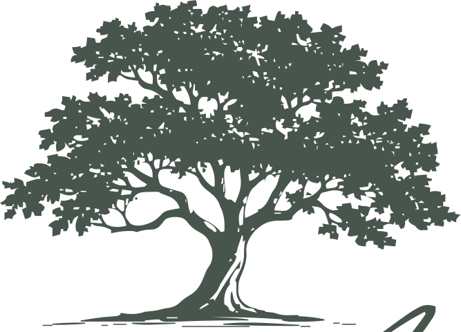Oak tree illustration